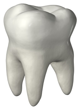 نکات طلایی سلامت دندان ها